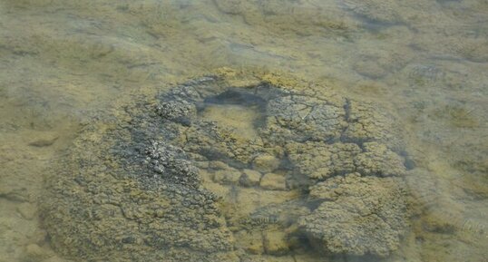 Lake Thetis, Western Australia