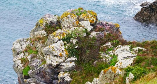 Rhyolithe massive de Belle-Île