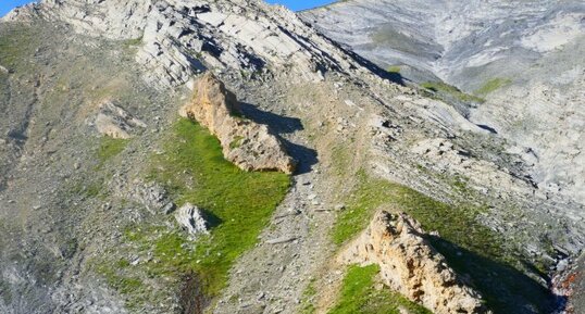 Cargneule au sein de calschistes