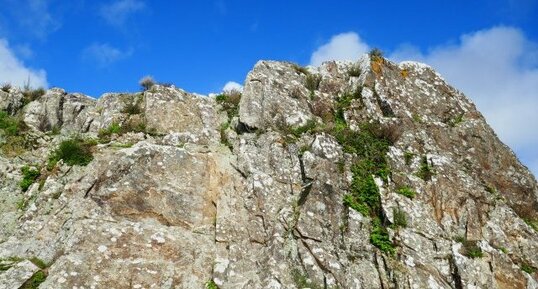mylonites des rochers du Ruicard à la Roche-Bernard