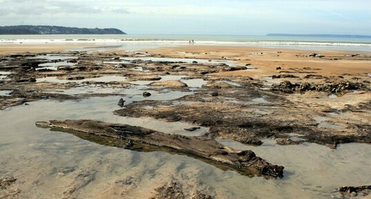 Tourbière fossile - Trezmalaouen - vue générale