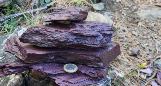 Corse - Vezzani - Radiolarites