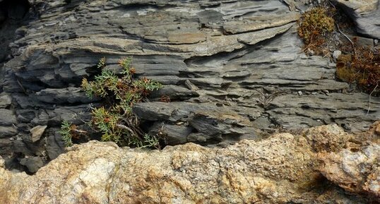 Pyrénée oriental, Cap de Creus (Zoom)