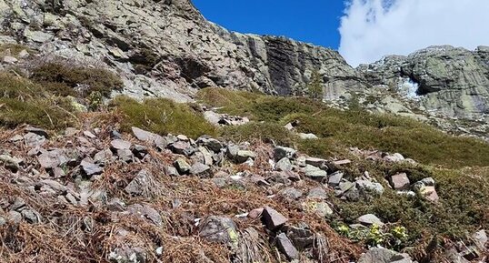 Corse - Soccia - Manganu - Rhyolite Alcaline