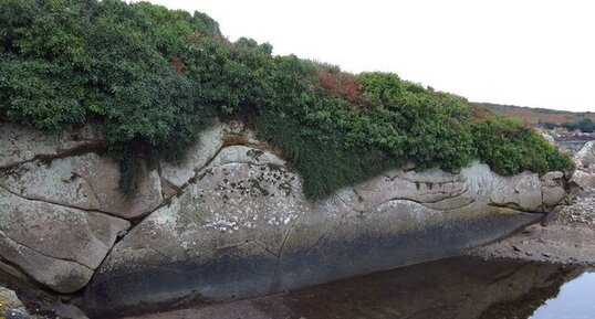 Ancienne carrière de Granodiorite de l'Île Chausey