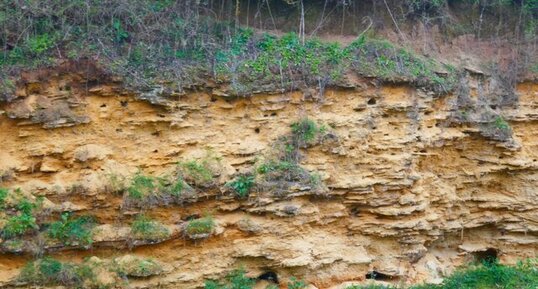 Carrière dite du "Four à Chaux" dans les faluns de Sologne