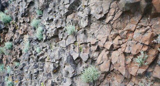 Détail du dyke de la Roque