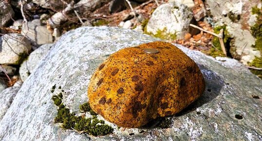 Monzogranodiorite à grenats