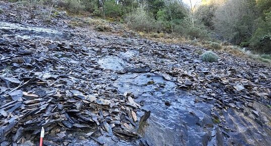 Flysch gréseux