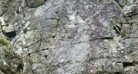Miroir de faille avec stries dans le granite de Mesvres (Autun)