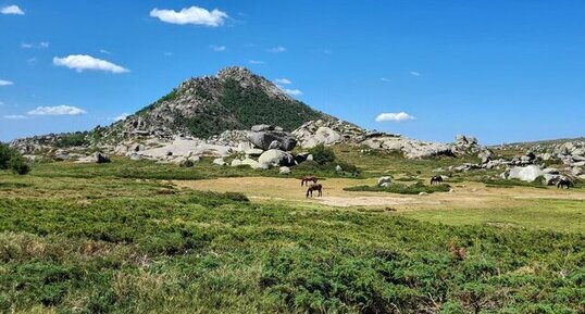 Corse - Zicavo - Plateau du Cuscionu - Chaos et Boules de Granite