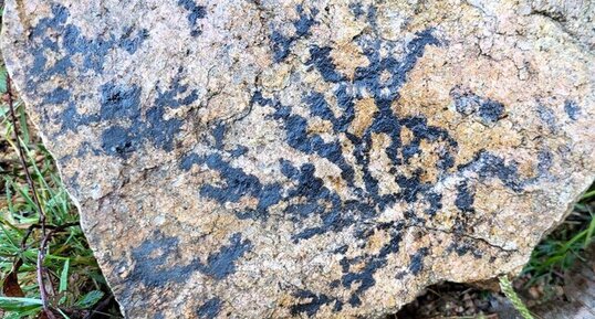 Dendrites de manganèse