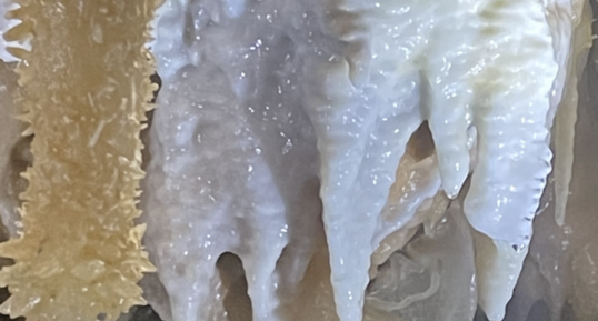 Formation d'une draperie dentelée à la grotte du Grand Roc