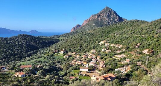 Corse - Osani - Anthracite