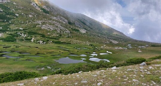 Corse - Bastelica - Monte Renosu - Pozzine