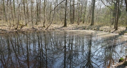 La Doline à Siphon à Limère
