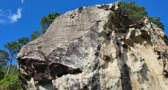 Corse - Venaco - Verghellu - Granite monzonitique leucocrate à grenats