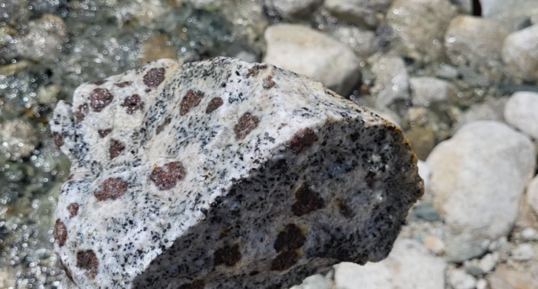 Corse - Bocognano - Granodiorite à Grenats