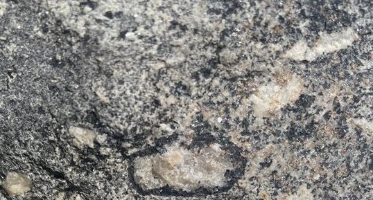 Texture Rapakivi autour d'un quartz dans un gabbro, à Trégastel (côte de (…)
