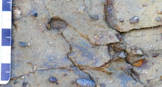 Conglomérat briovérien de la Pointe du Lude