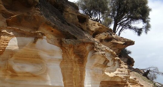 Tasmanie, Maria Island