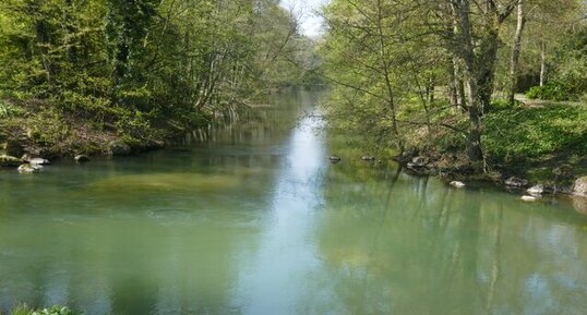 Source du Loiret dite du Bouillon