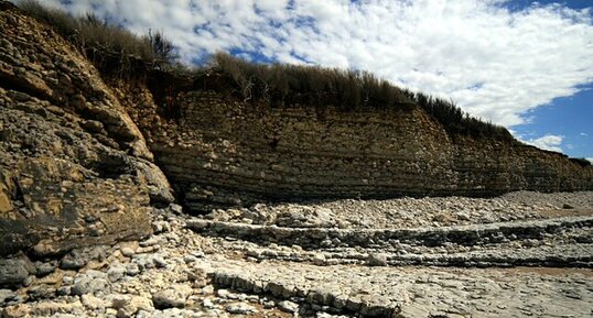 Calcaires blancs argileux / Pointe de Chassiron