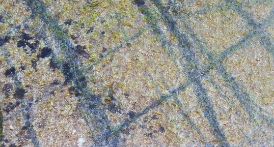 "Diorite" de Cambernon dans un mur de l'église du village