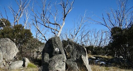 Kosciuszko National Park, New South Wales