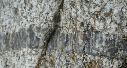 Filon de Pegmatite à texture harrisite.