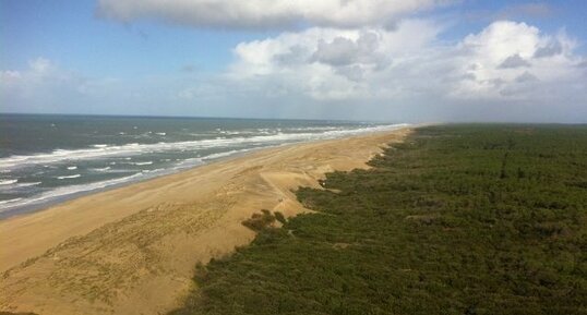 Dunes littorales de la Côte Sauvage, forêt de la Coubre