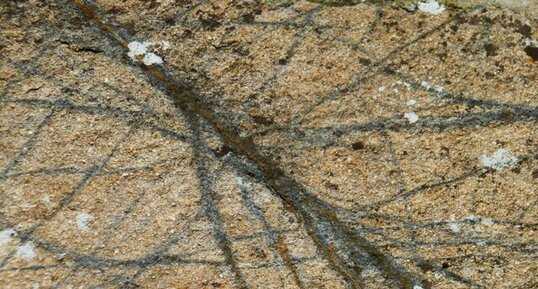 "Diorite" de Cambernon