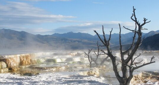 Mammoth Springs, Yellowstone N.P.