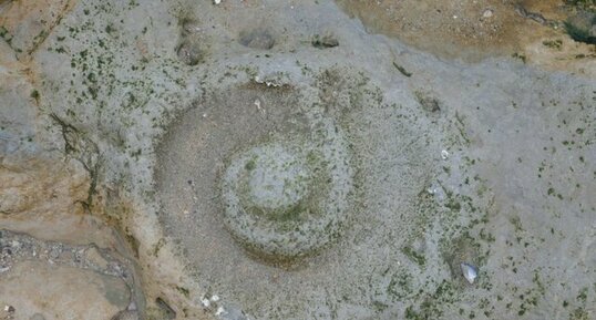 Trace d'ammonite à Port-en-Bessin