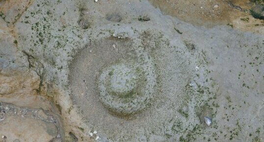 Trace d'ammonite à Port-en-Bessin