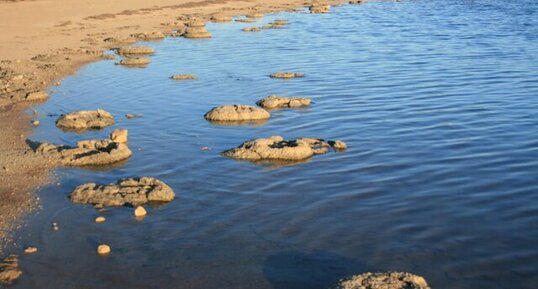 Stromatolithes du lac Thetis