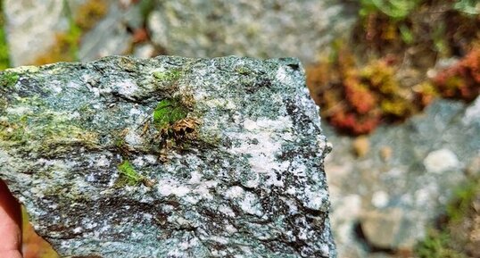 Corse - Ste Marie Figaniella - Hameau Giacomoni - Diorite