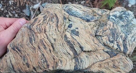 Corse - Piobetta - Gneiss