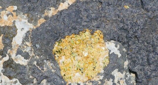Nodule de péridotite dans les basaltes de la Grande Conque.