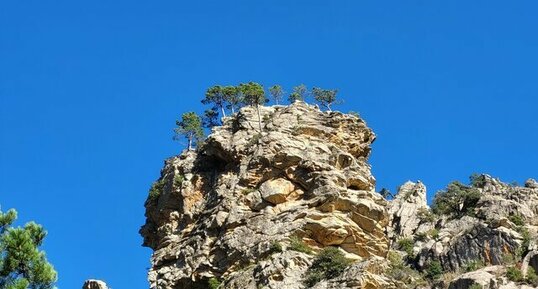 Corse - Bocognano - Ricchjusa - Leucomonzogranite