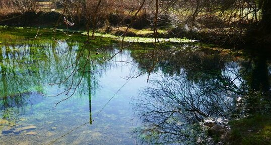 Source de la Buèges