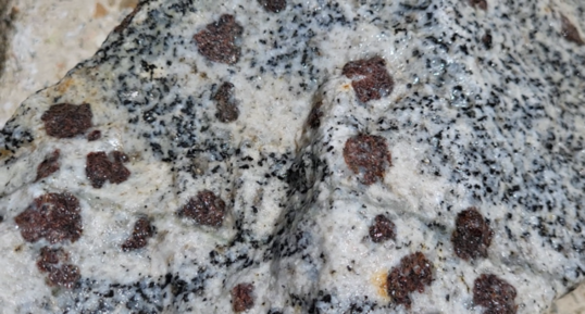 Corse - Bocognano - Granodiorite à Grenats