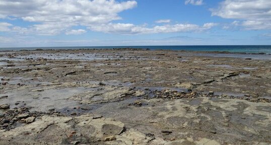 Tasmanie, Seebrook "Pines" Point