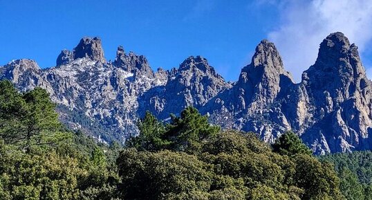 Granodiorites à amphiboles
