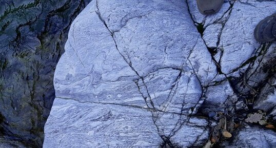 Migmatites de Borne (Velay)