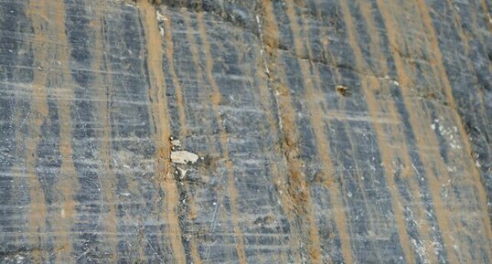 Stries glaciaires du Glacier Athabasca