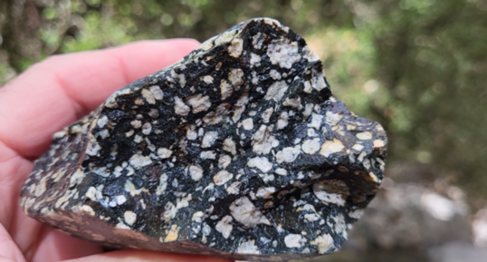 Corse - Bocognano - Gabbro