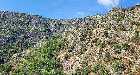 Corse - Venaco - Uboli - Conglomérat / Poudingue