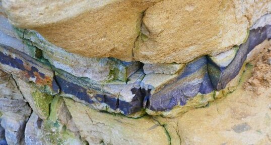 Niveau de silex dans les calcaires de St-Pierre-du-Mont(Longe-sur-Mer)