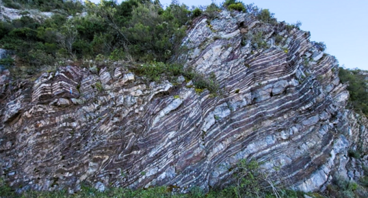 Radiolarites